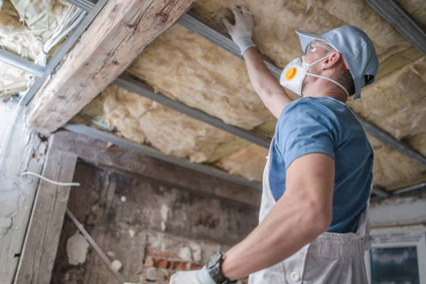 Best Garage Insulation Installation  in Ranchester, WY