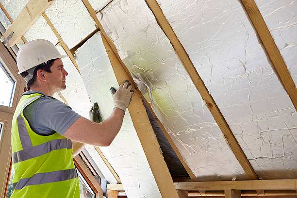 Best Cellulose Insulation  in Ranchester, WY